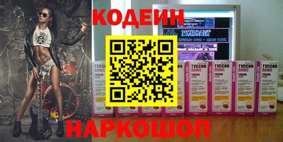 индика Кингисепп