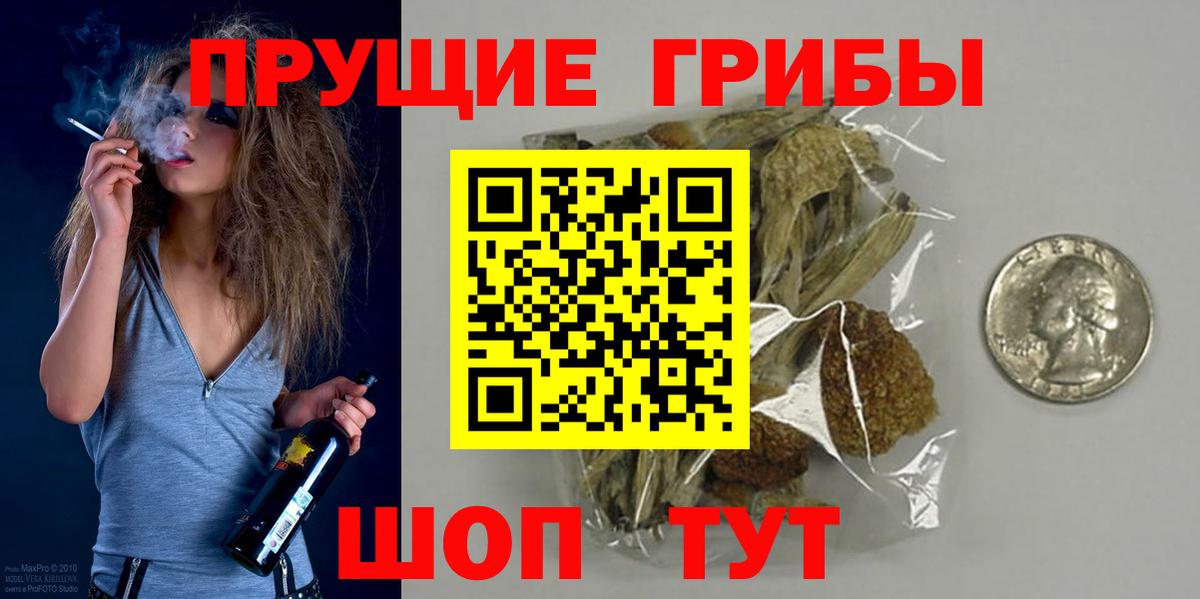 Псилоцибиновые грибы Cubensis Красноярск