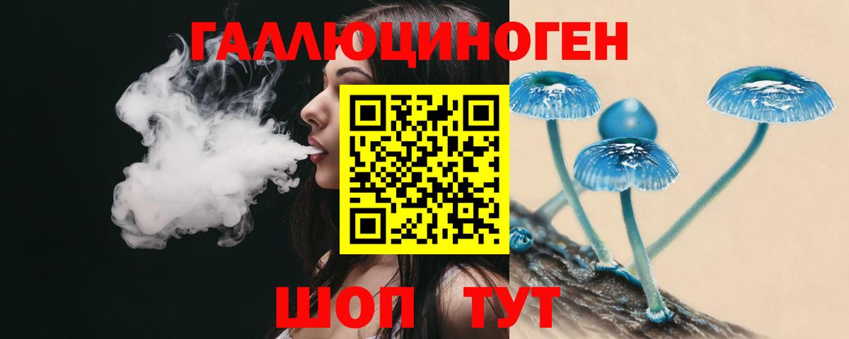 Красноярск  Псилоцибиновые грибы Psilocybine cubensis  Вход с VPN 